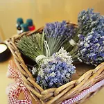 Hotel Abácie&wellness Valašské Meziříčí