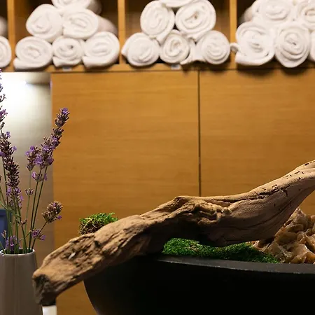 Abacie & Wellness Hotel 4*
