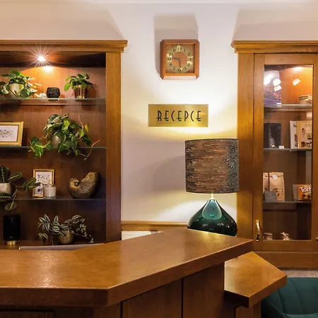 Abácie&wellness Hotel Valašské Meziříčí