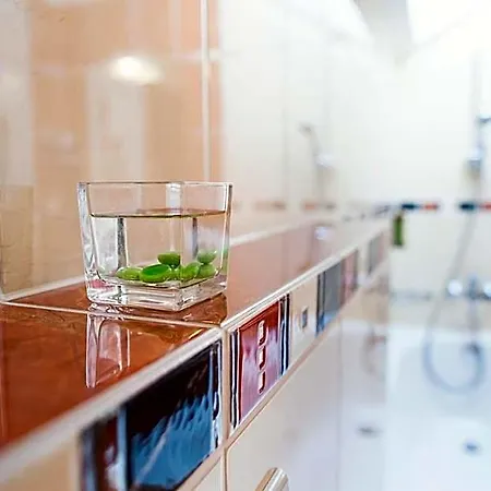 Abácie&wellness Hotel Valašské Meziříčí