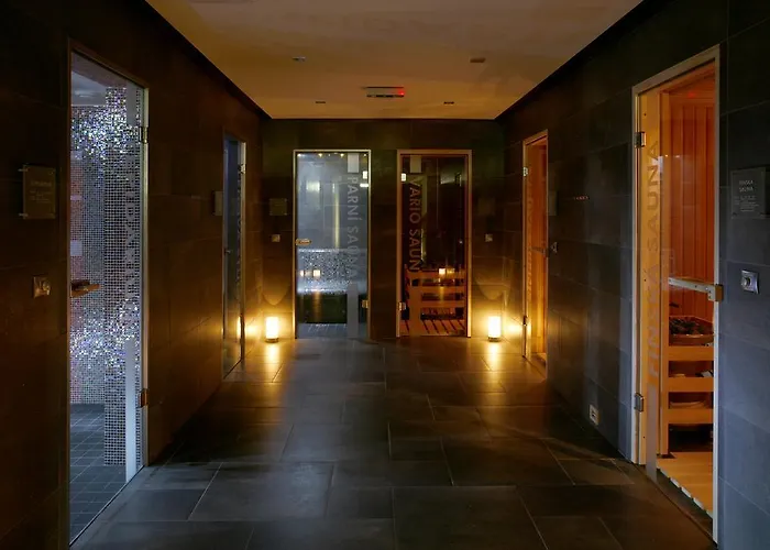 Abacie & Wellness فندق Valašské Meziříčí